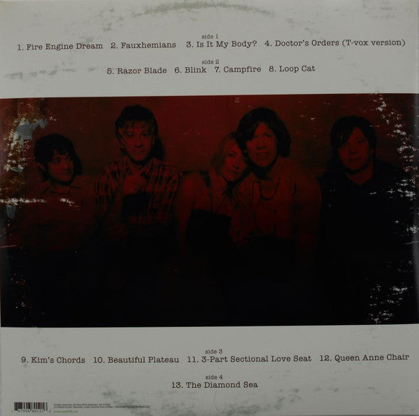 Sonic Youth "The Destroyed Room B-Sides And Rarities"
