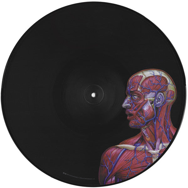 Tool "Lateralus" (rare)