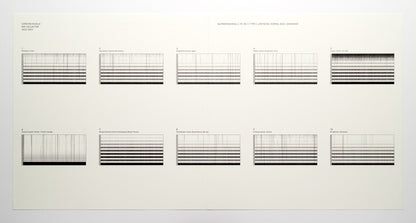 Carsten Nicolai "Ray Collector"