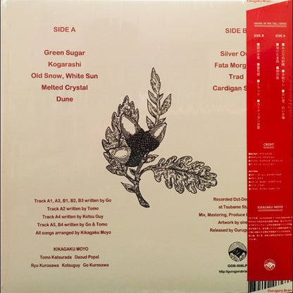 Kikagaku Moyo "House In The Tall Grass" (Repress)