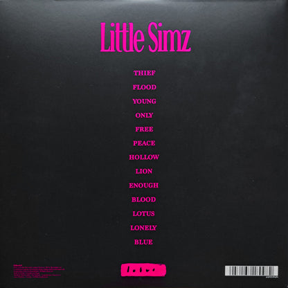 Little Simz "Lotus"