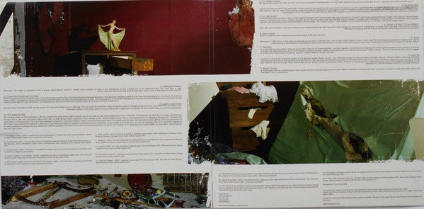 Sonic Youth "The Destroyed Room B-Sides And Rarities"