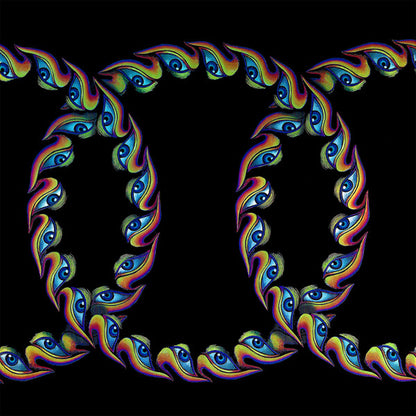 Tool "Lateralus" (rare)