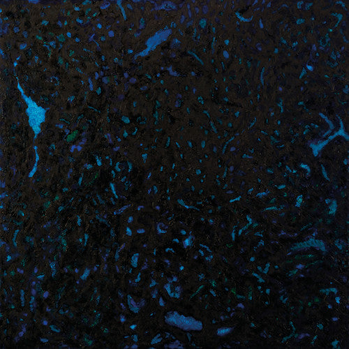 Zenker Brothers "Immersion"