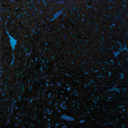 Zenker Brothers "Immersion"