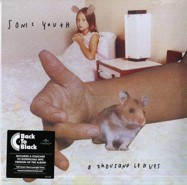 Sonic Youth "A Thousand Leaves"