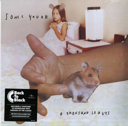 Sonic Youth "A Thousand Leaves"