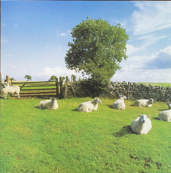 The KLF "Chill Out" (clear vinyl)