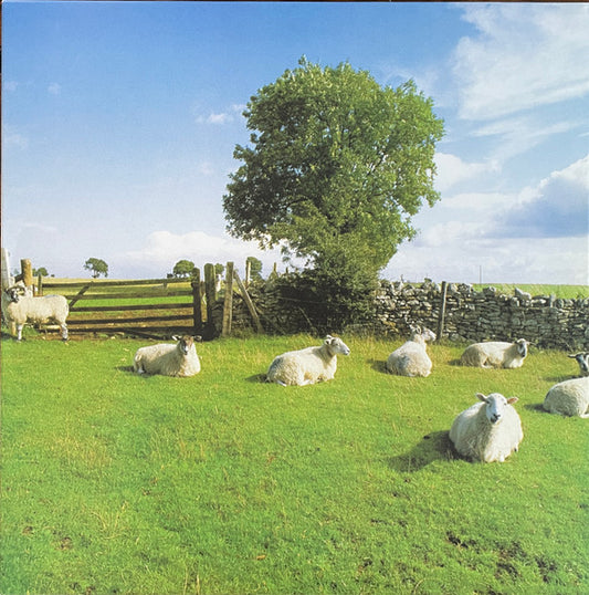 The KLF "Chill Out" (clear vinyl)