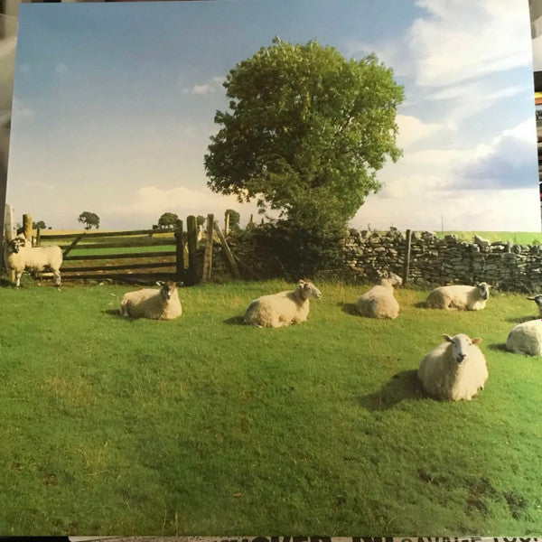 The KLF "Chill Out" (clear vinyl)
