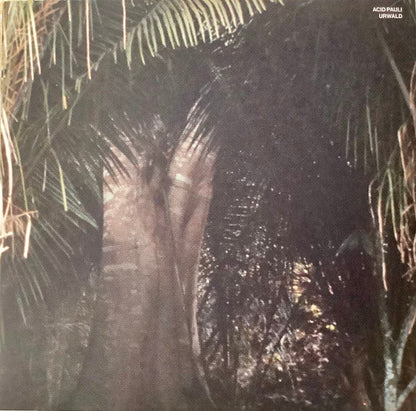 Acid Pauli "Urwald"