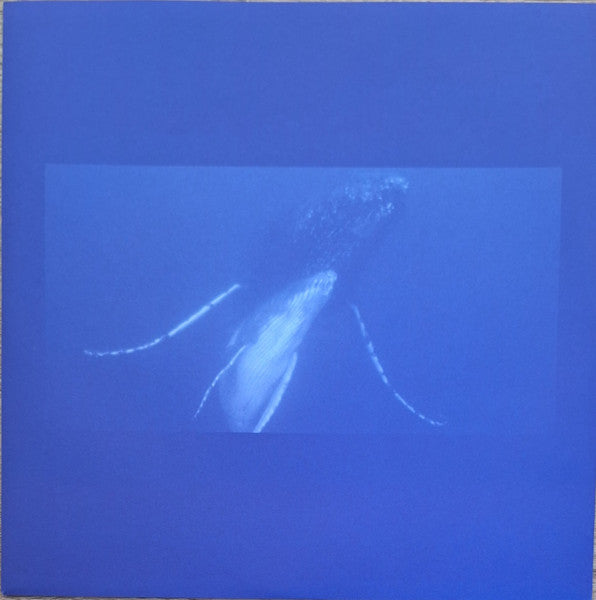 Rone "Megaptera (Original Soundtrack From The Movie "The Musician And The Whale")"