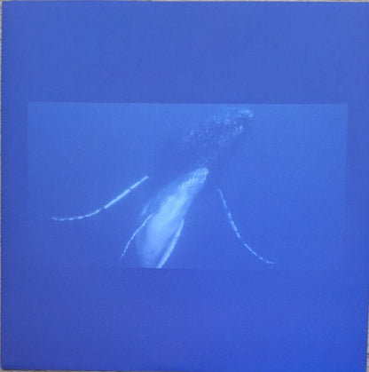 Rone "Megaptera (Original Soundtrack From The Movie "The Musician And The Whale")"
