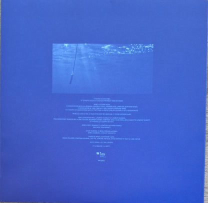 Rone "Megaptera (Original Soundtrack From The Movie "The Musician And The Whale")"