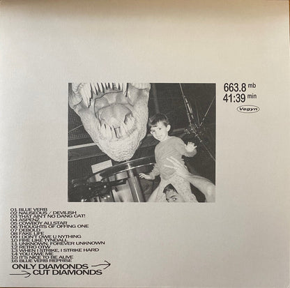 Vegyn "Only Diamonds Cut Diamonds" (Repress)