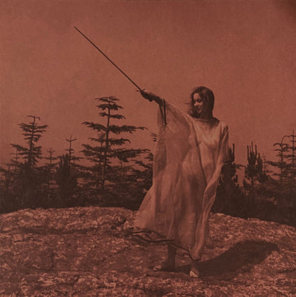 Unknown Mortal Orchestra "II"