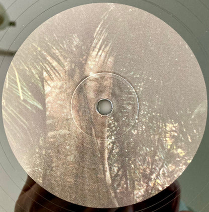 Acid Pauli "Urwald"