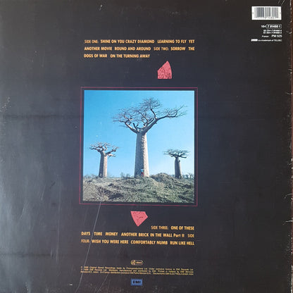 Pink Floyd "Delicate Sound Of Thunder" (2nd Hand)