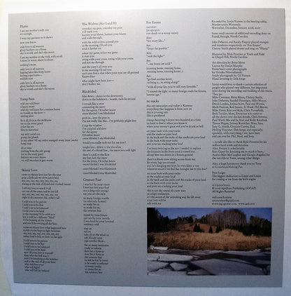 Bon Iver "For Emma, Forever Ago"