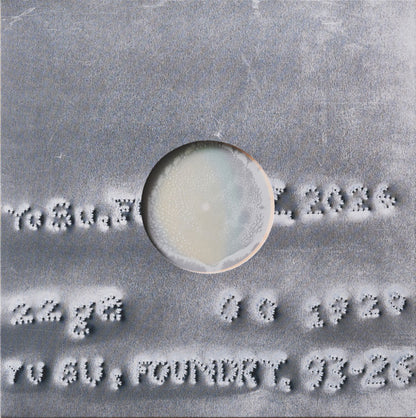 Yu Su "Foundry" (limited)