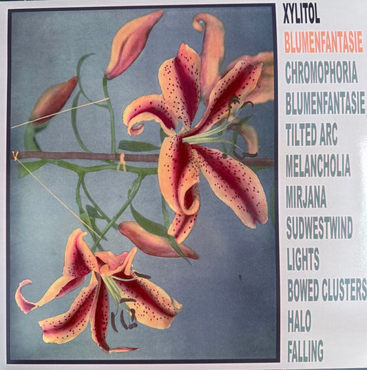 Xylitol "Blumenfantasie"