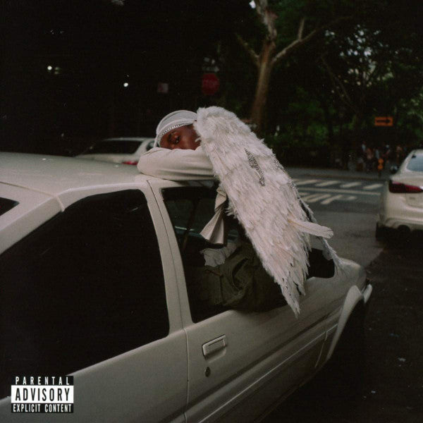 Blood Orange "Negro Swan"