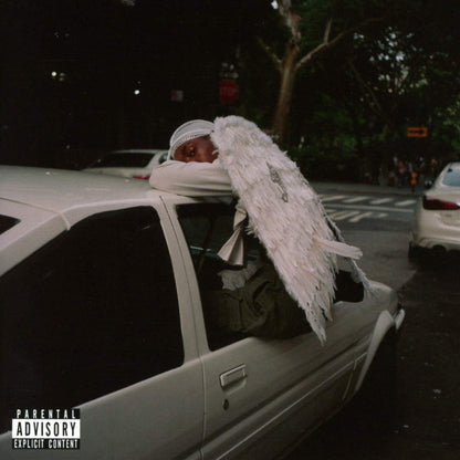 Blood Orange "Negro Swan"