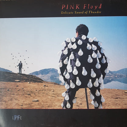 Pink Floyd "Delicate Sound Of Thunder" (2nd Hand)