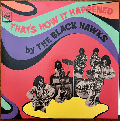 The Black Hawks "That’s How It Happened"