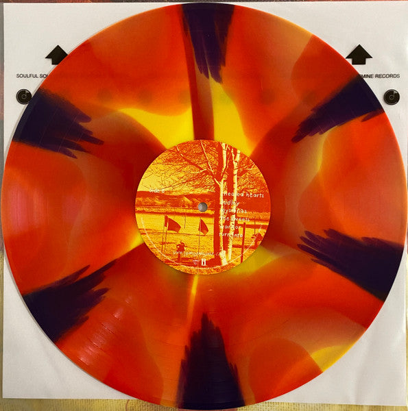 Yeah Yeah Yeahs "Show Your Bones"