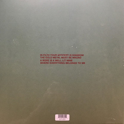 Dagmar Zuniga "In Filth Your Mystery Is Kingdom / Far-Smile Peasant In Yellow Music"