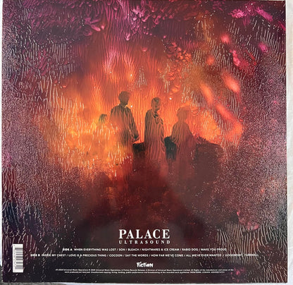 Palace "Ultrasound"
