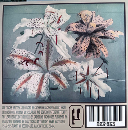 Xylitol "Blumenfantasie"