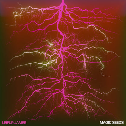 Leifur James "Magic Seeds"