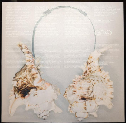 Nia Archives "Emotional Junglist"