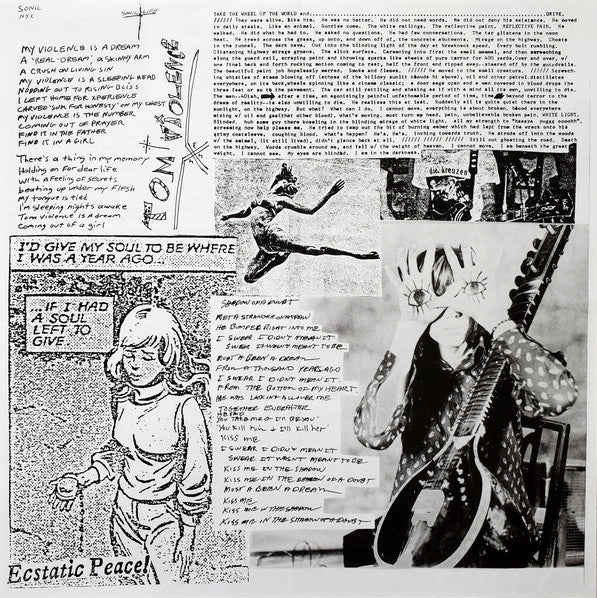 Sonic Youth "EVOL"
