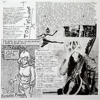 Sonic Youth "EVOL"