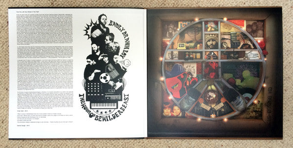 Badly Drawn Boy "The Hour Of Bewilderbeast"