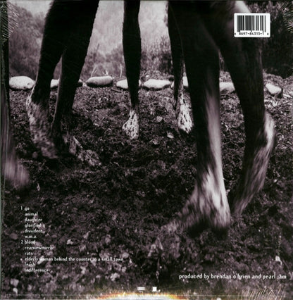 Pearl Jam "Vs."