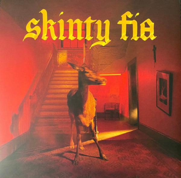 Fontaines D.C. "Skinty Fia"