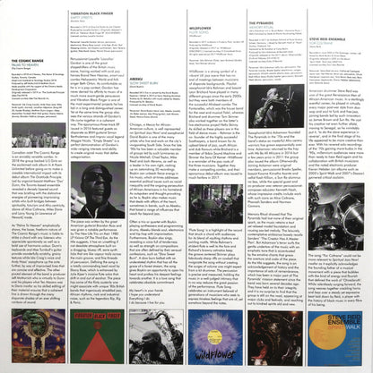 Various "Spiritual Jazz 13: Now! Part Two / Modern Sounds For The 21st Century"