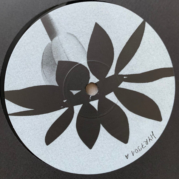 Nathan Dawidowicz "FLUFF" (COMING SOON)