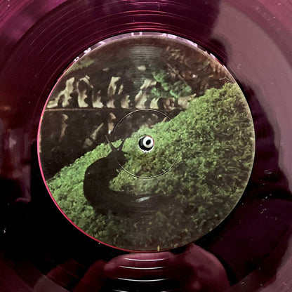 Yo La Tengo "Old Joy"