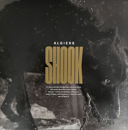 Algier "ryster"