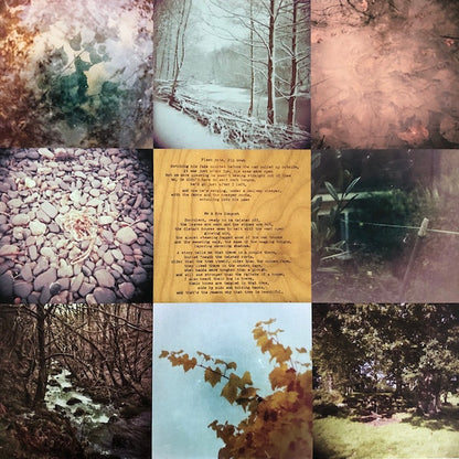 Bibio "Vignetting The Compost"