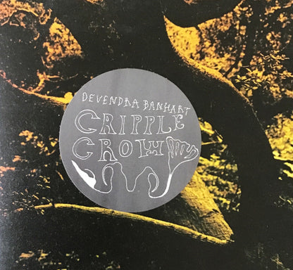 Devendra Banhart "Cripple Crow"