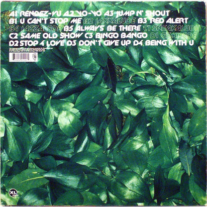 Basement Jaxx "Remedy"