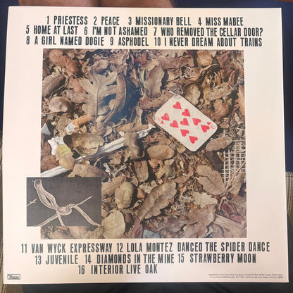 Cass Mc Combs "Interior Live Oak"
