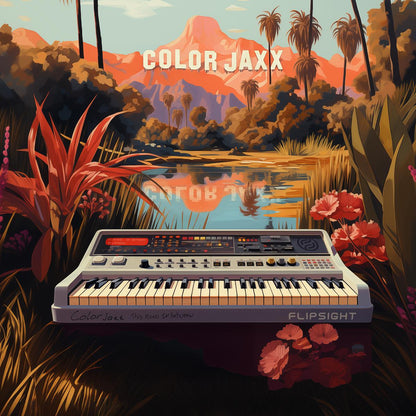 ColorJaxx "In Between LP" (printed gatefold)