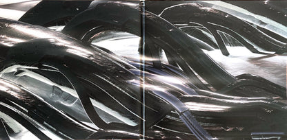 Dj Stingray 313 "F.T.N.W.O."